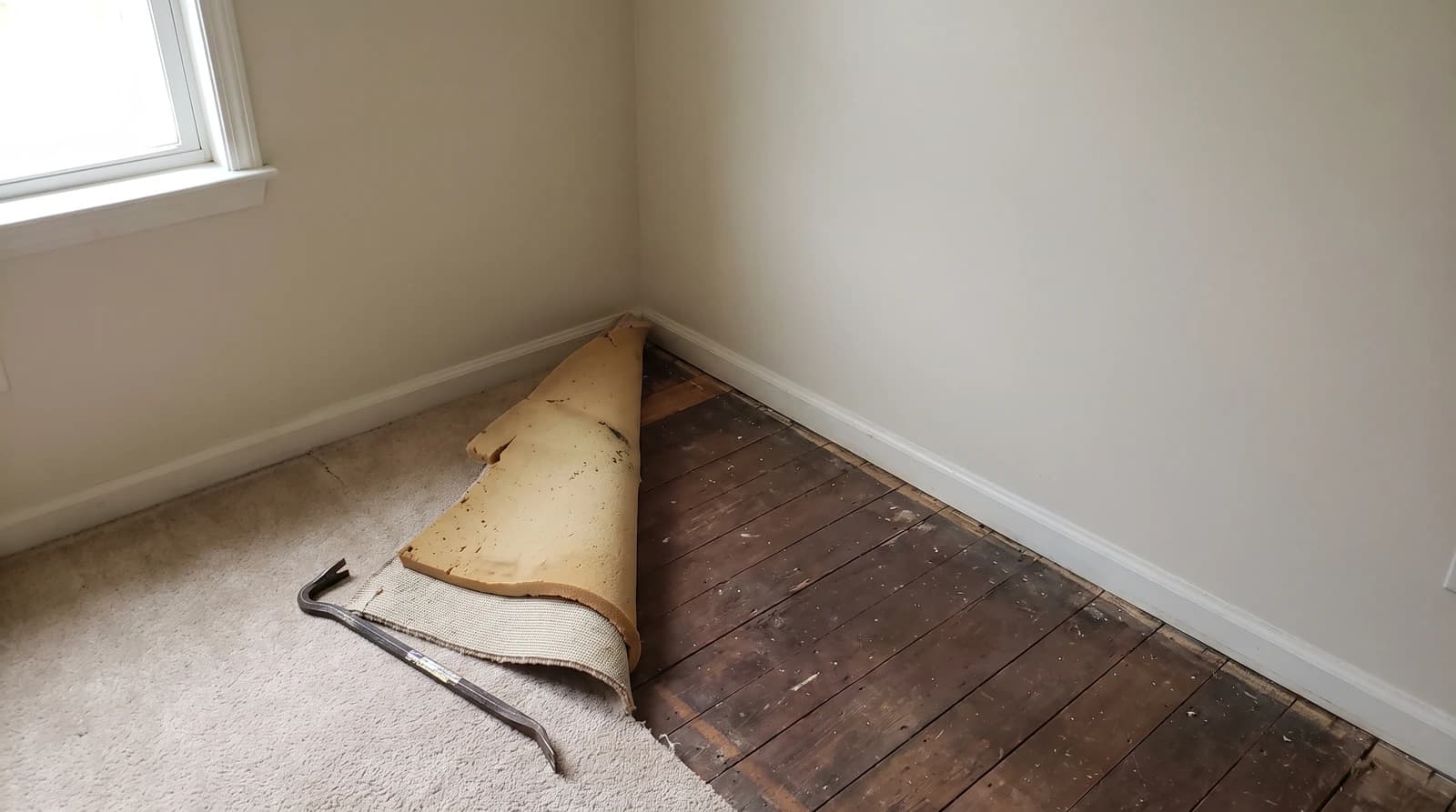 Carpet peeled back to reveal padding and subfloor during a pet-stain carpet removal job in a Meridian, Idaho home.